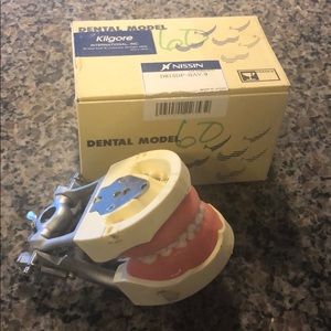 Kilgore Typodont Pediatric Baylor Dentistry NEW